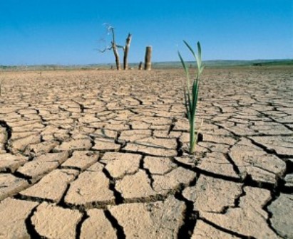 Precursores anónimos en lucha contra la desertificación y la sequía